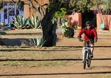 USA-Arizona-Rancho de la Osa